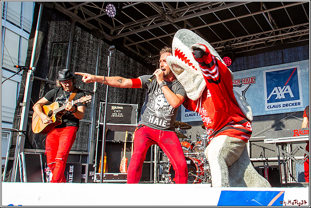 DEL; Koelner Haie Saisoneroeffnungsfeier, 31.08.2019